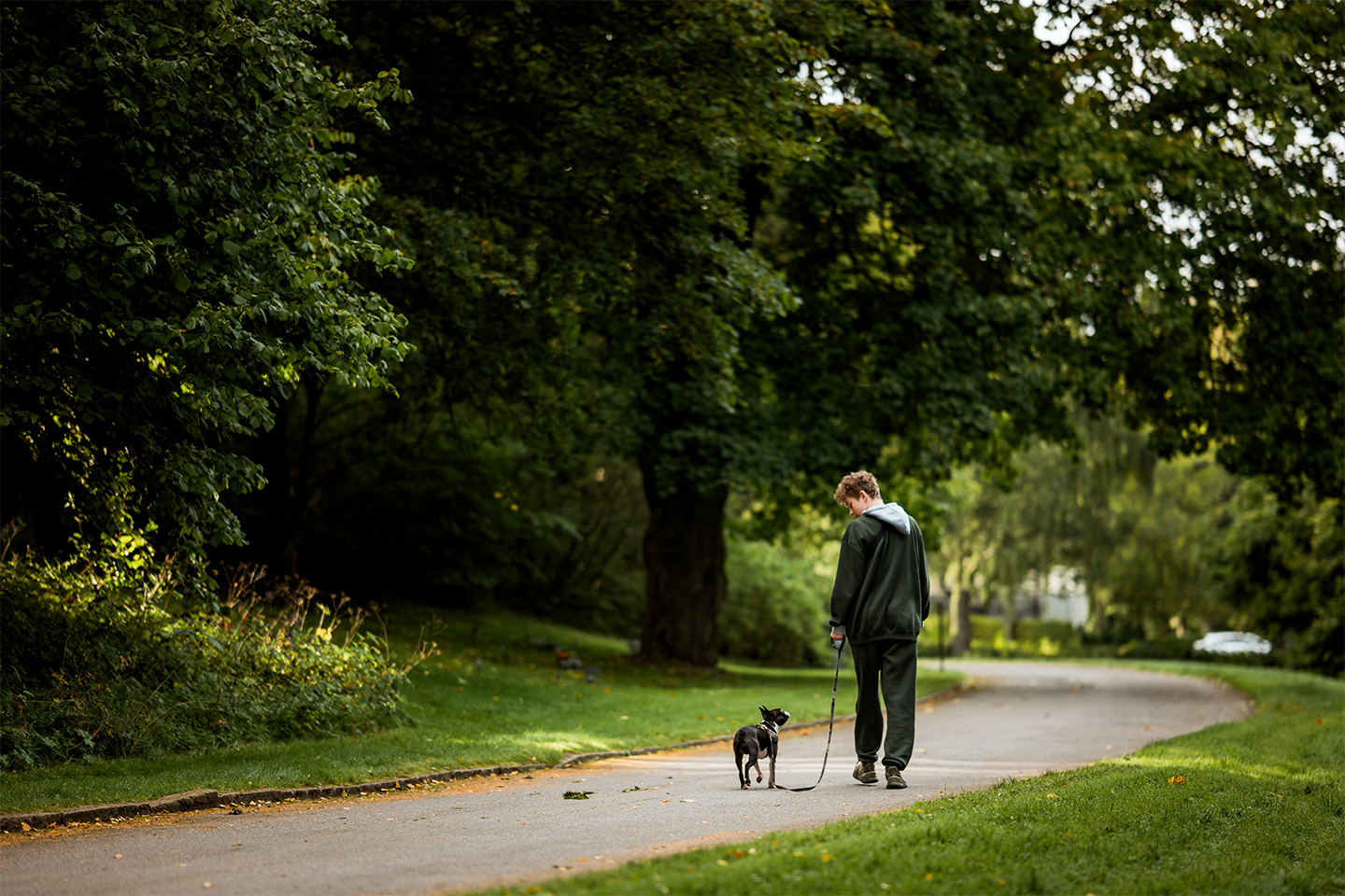 sodra-hagalund-hundpromenad